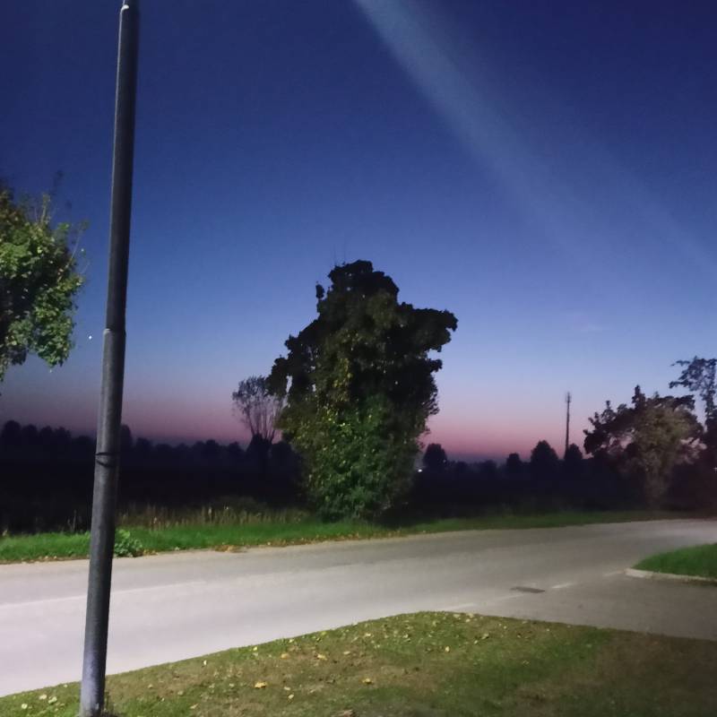 Fotosegnalazione di Covo