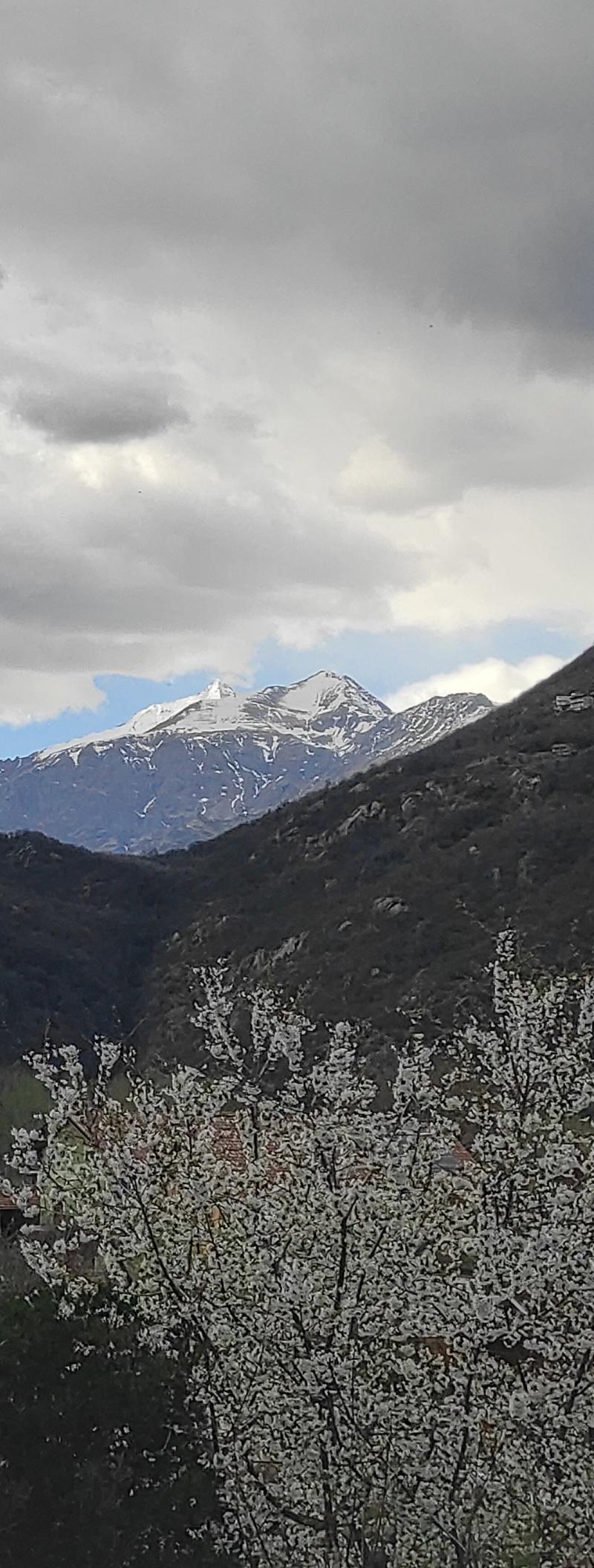 rocciamelone oggi pomeriggio