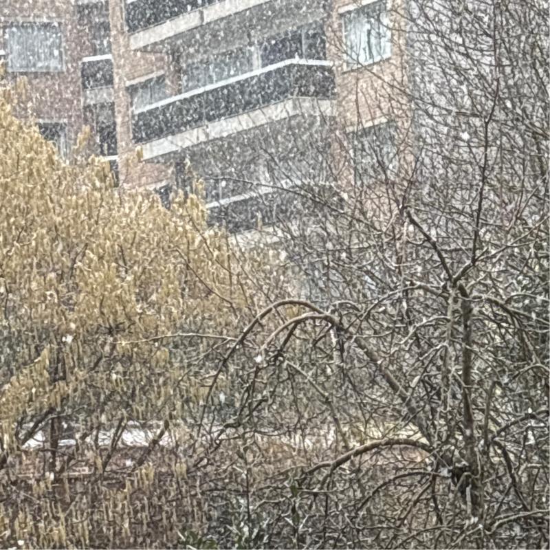 Fotosegnalazione di Bruxelles