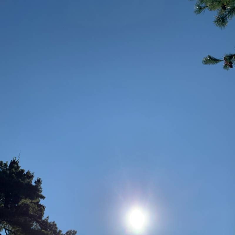 Fotosegnalazione di Verdellino