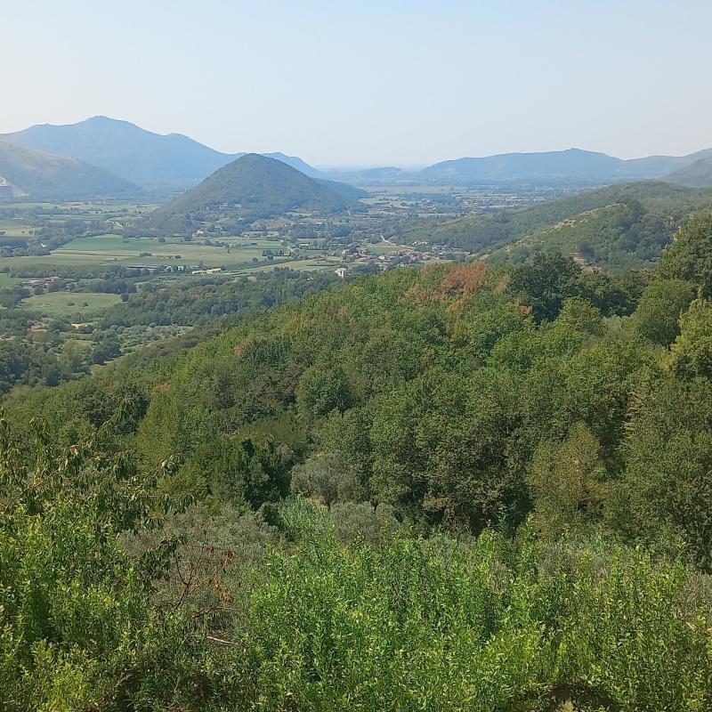 Panorama