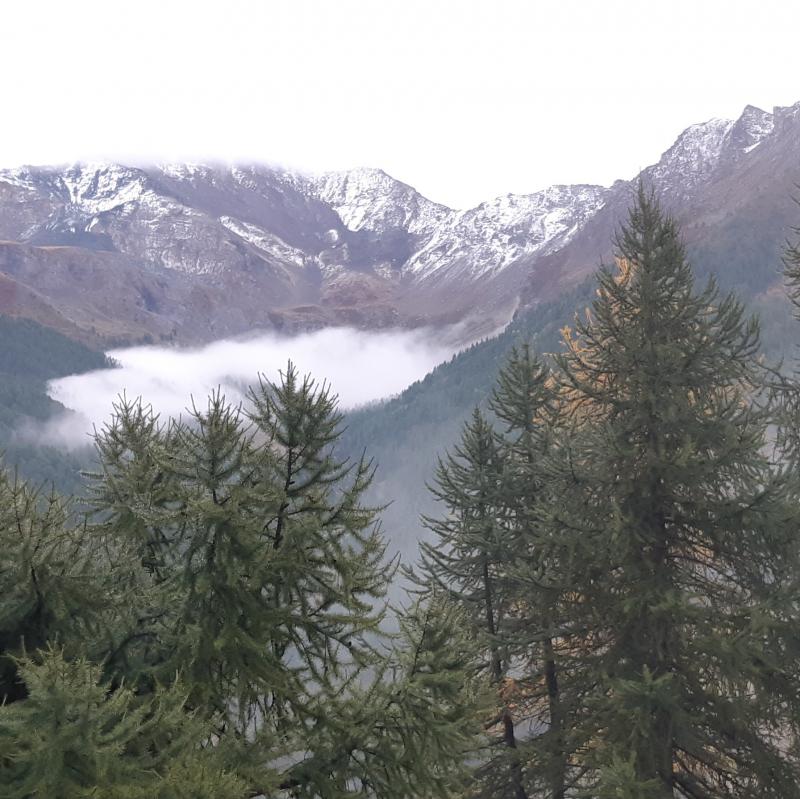 prima neve