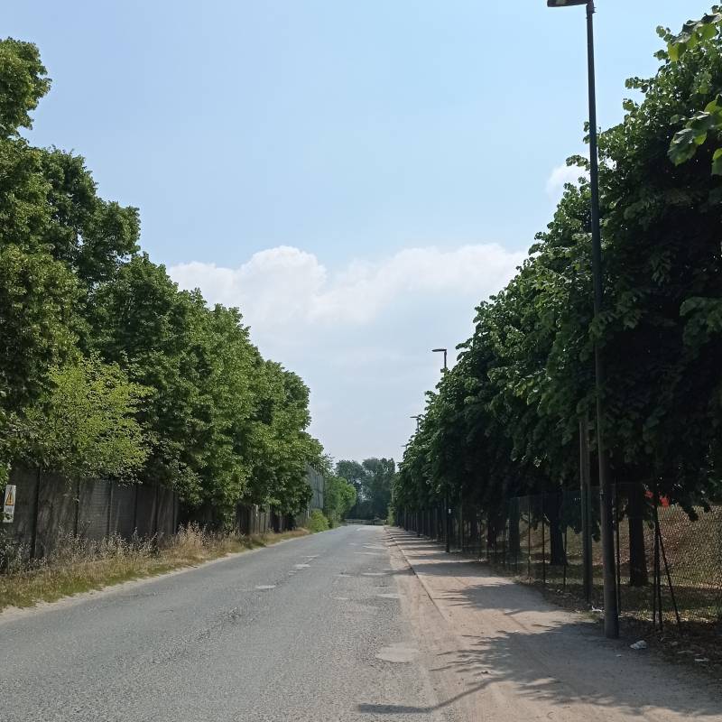 Fotosegnalazione di Torino