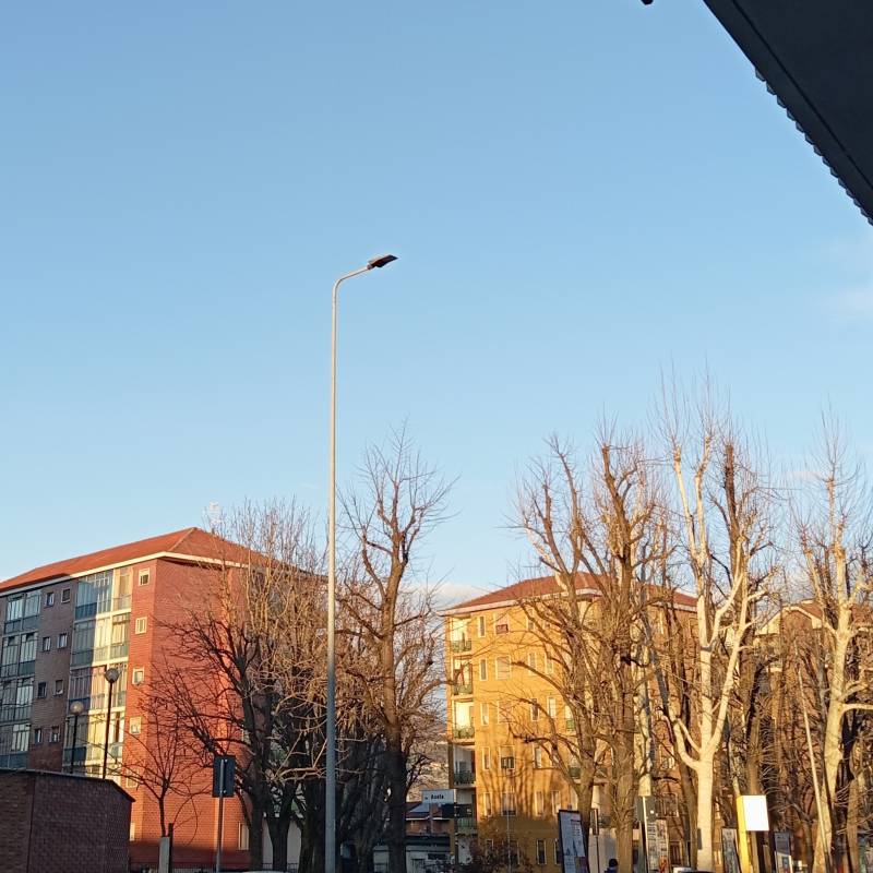 Sole