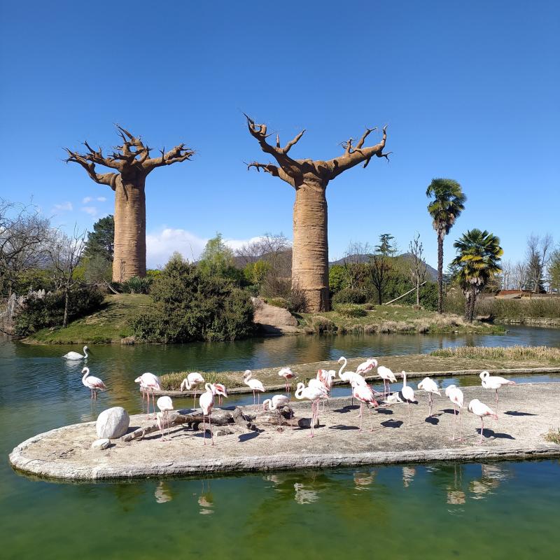 Fotosegnalazione di Cumiana