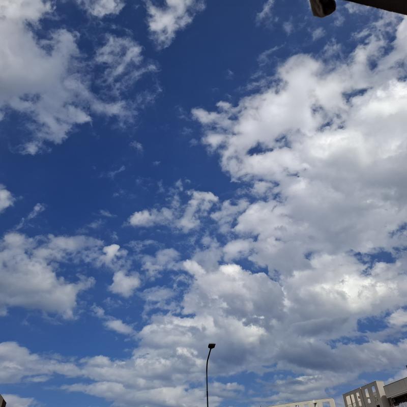 Fotosegnalazione di Bisceglie
