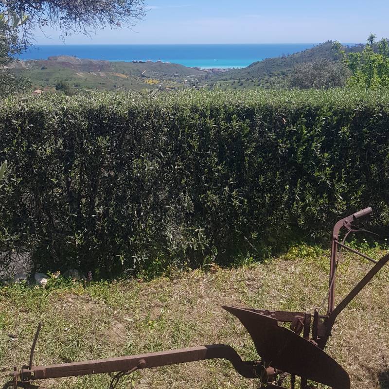 Fotosegnalazione di Santa caterina dello ionio