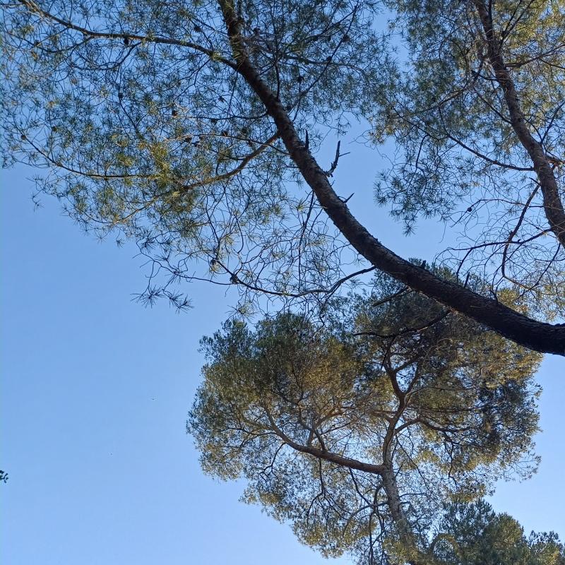 sempre piu' su