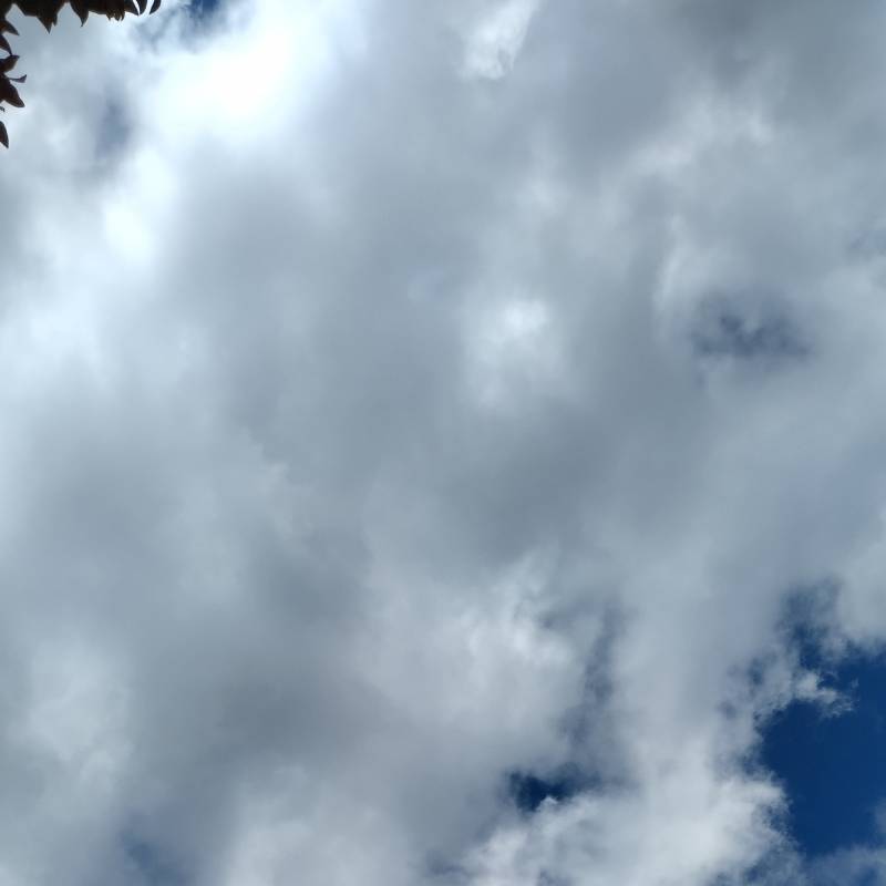 Fotosegnalazione di Calestano