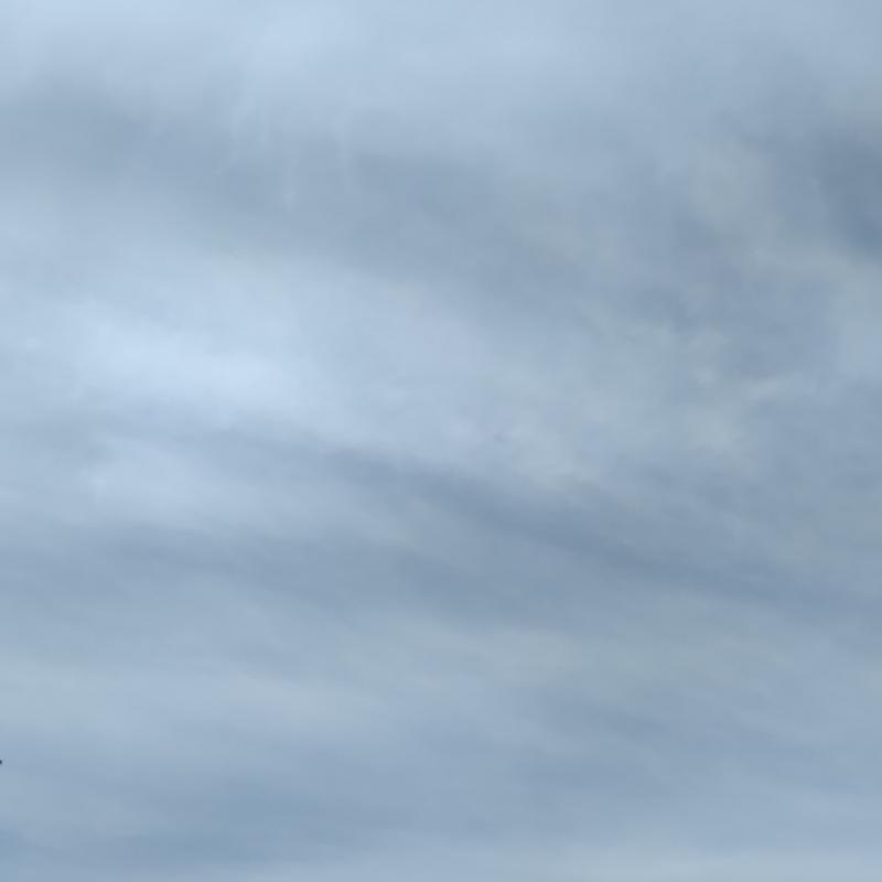 Fotosegnalazione di Calestano