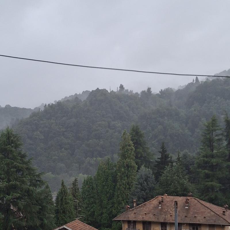Fotosegnalazione di Coggiola