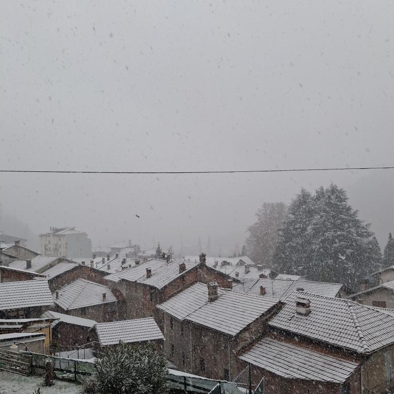 Fotosegnalazione di Coggiola