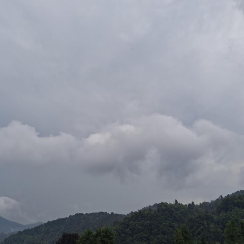 Fotosegnalazione di Coggiola