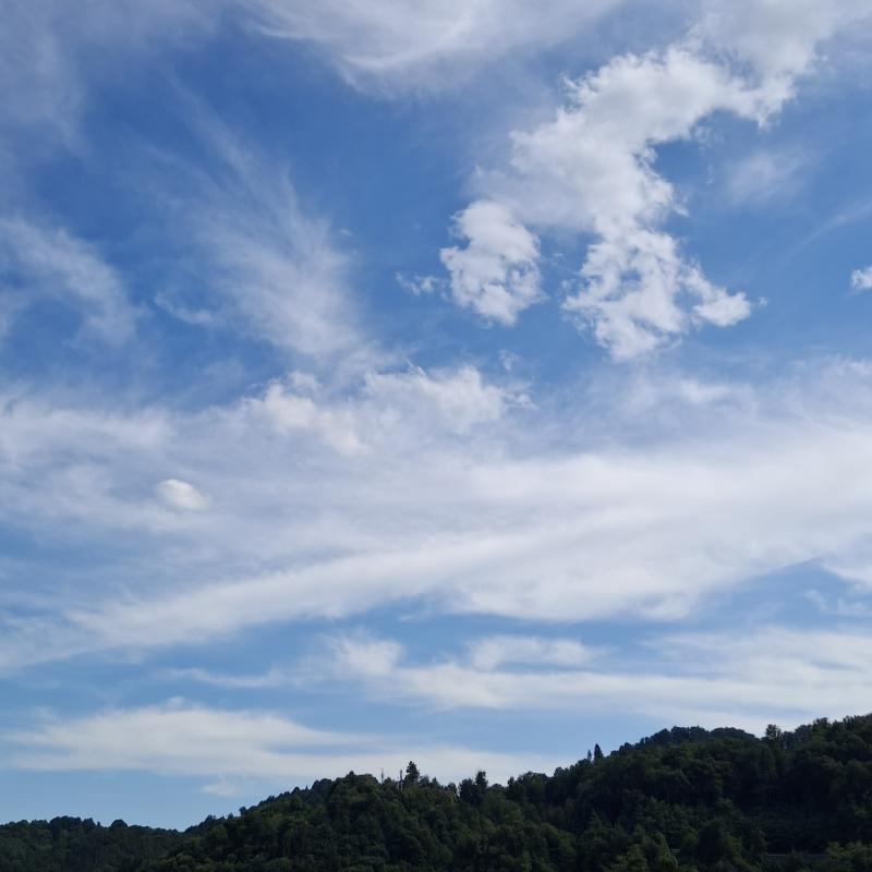 Fotosegnalazione di Coggiola