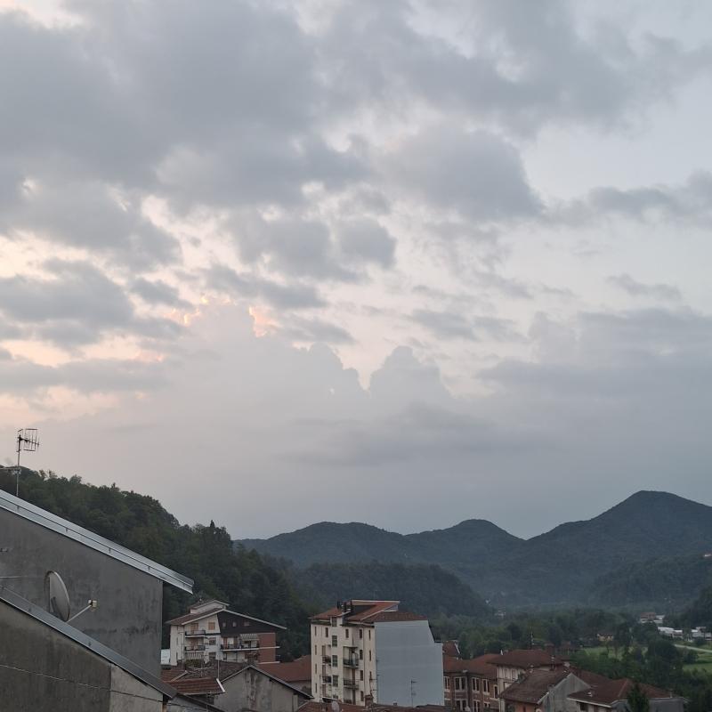 Fotosegnalazione di Coggiola