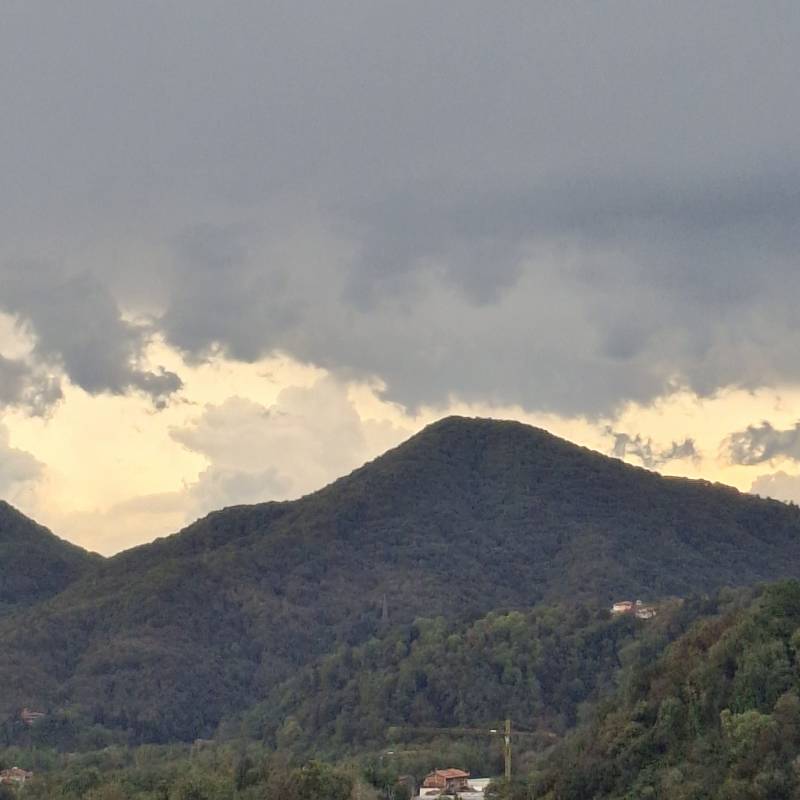 Fotosegnalazione di Coggiola