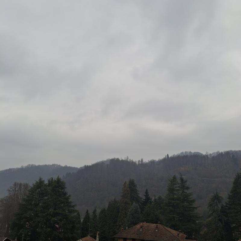 Fotosegnalazione di Coggiola