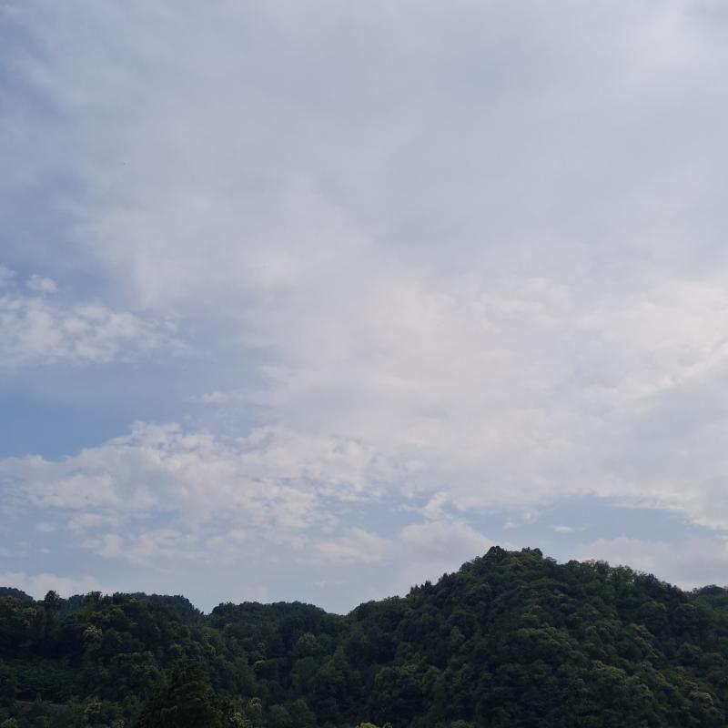 Fotosegnalazione di Coggiola