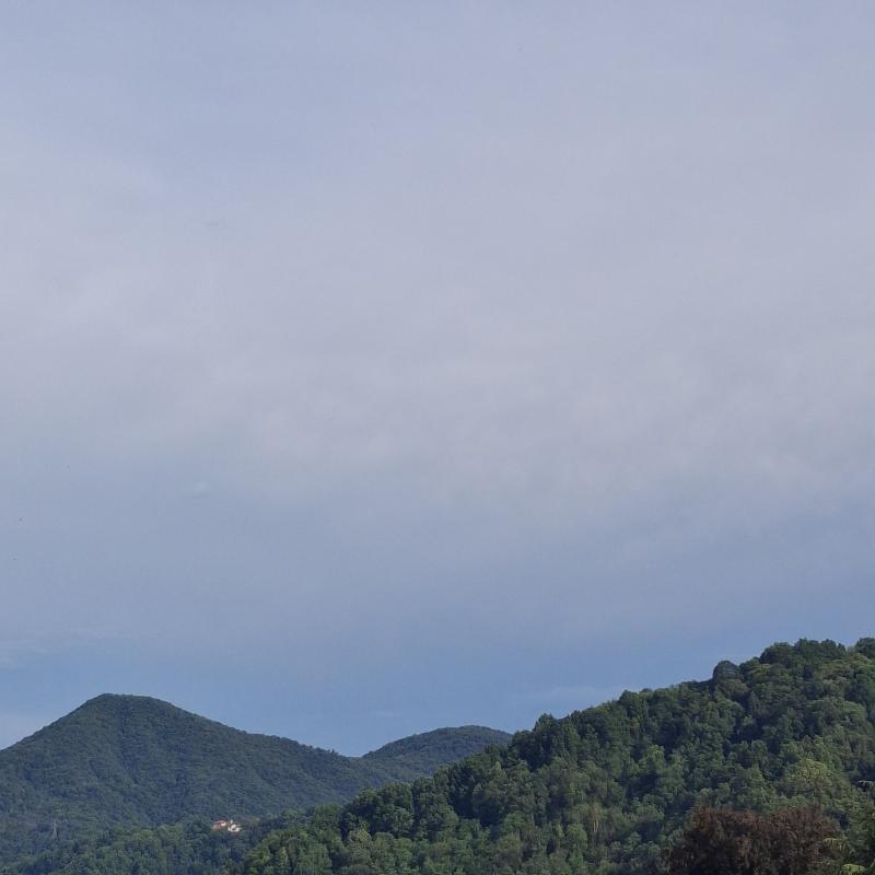 Fotosegnalazione di Coggiola