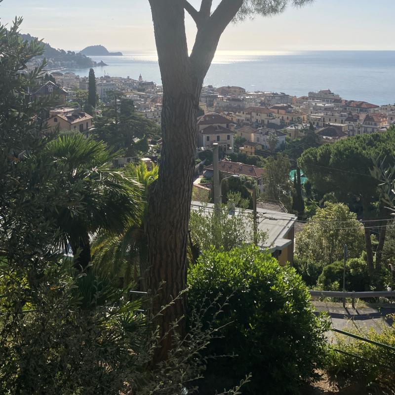 Alassio primo mattino