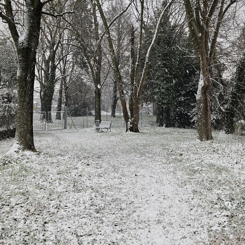 parco cani