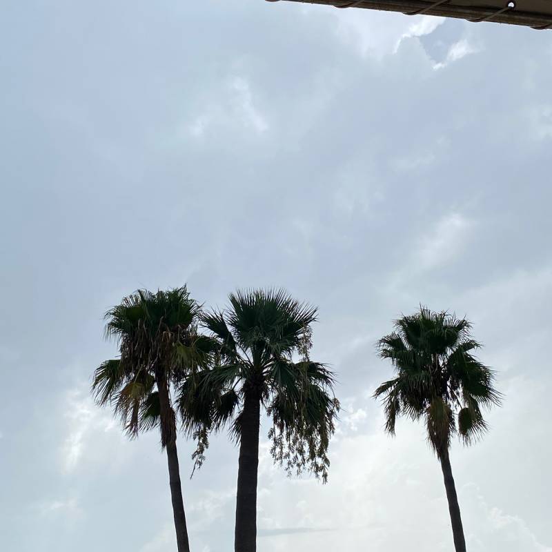 Fotosegnalazione di Son bou