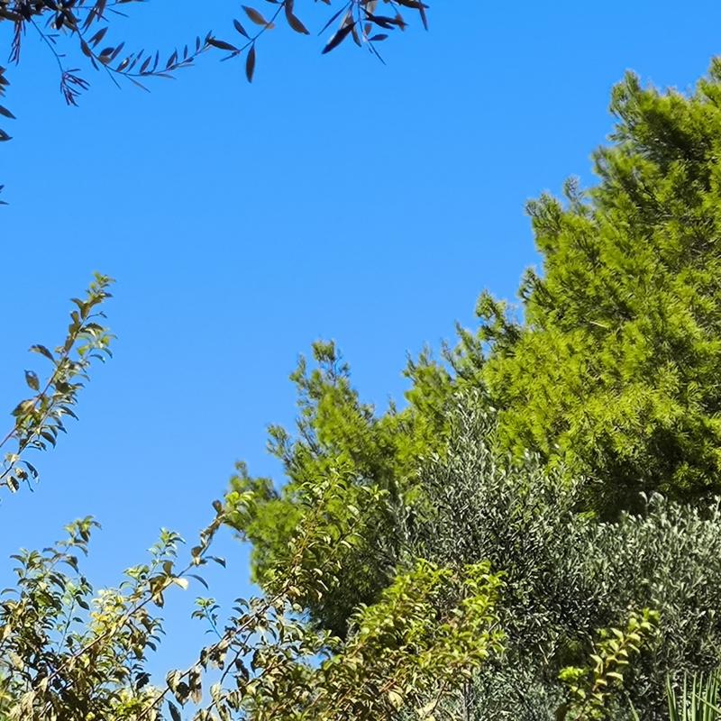 Fotosegnalazione di Galatone