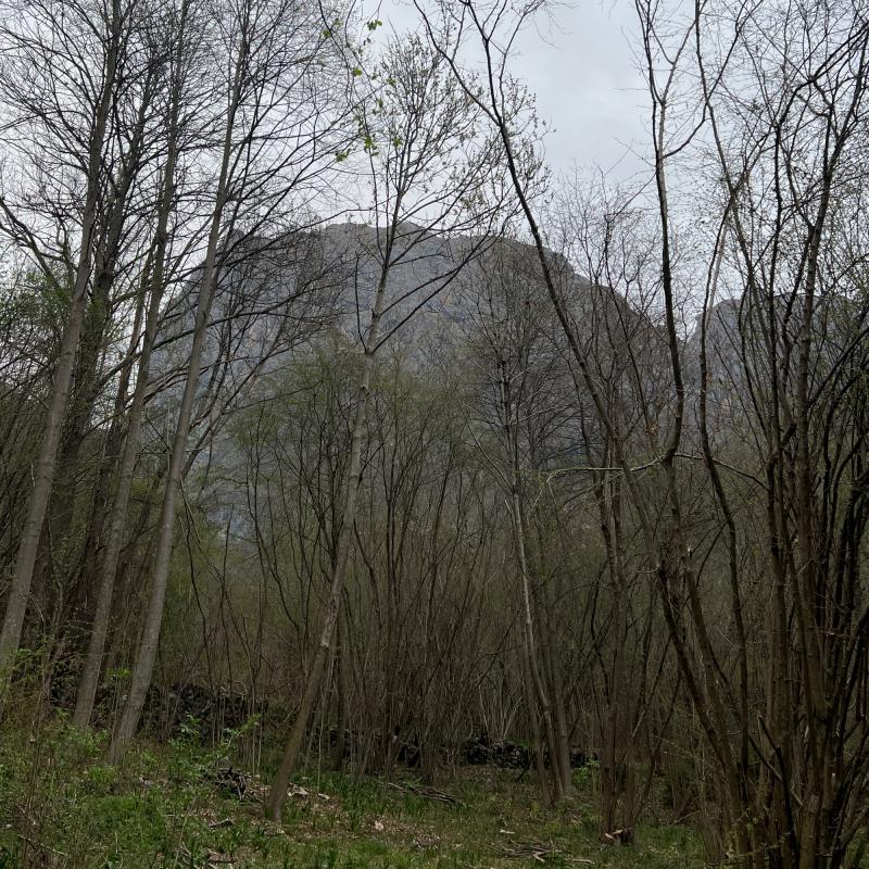 Fotosegnalazione di Lozio