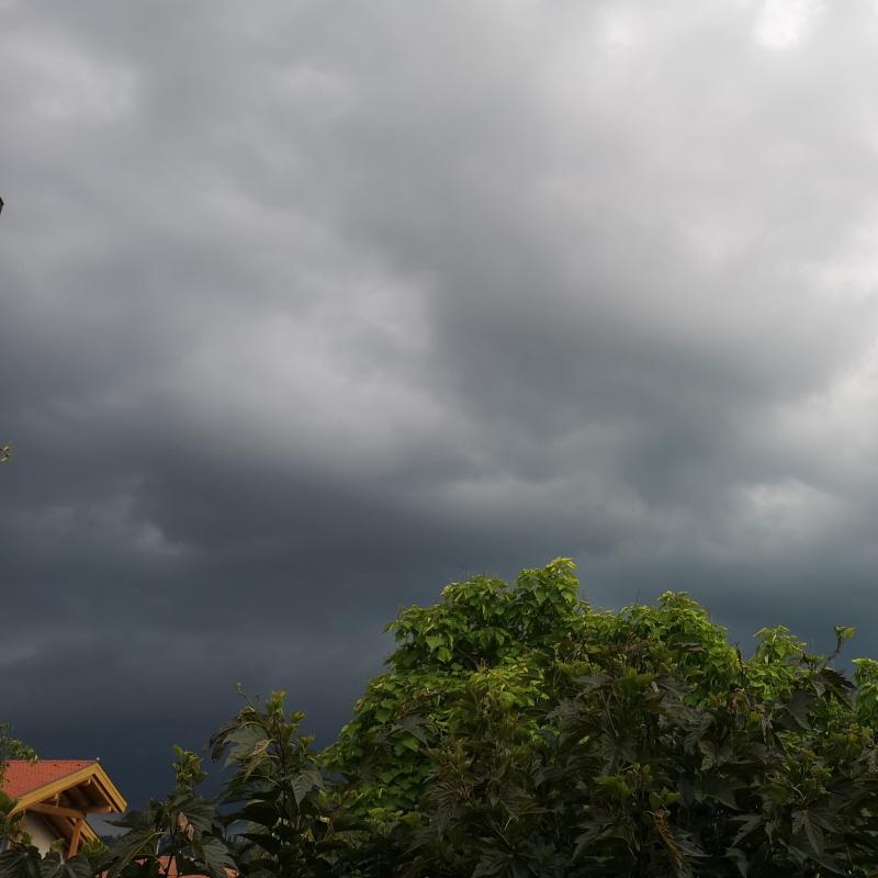 Fotosegnalazione di Cesena valle savio