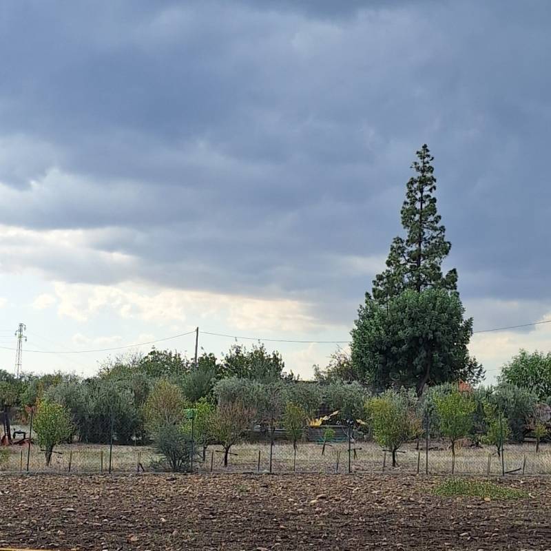 Fotosegnalazione di Motta sant'anastasia