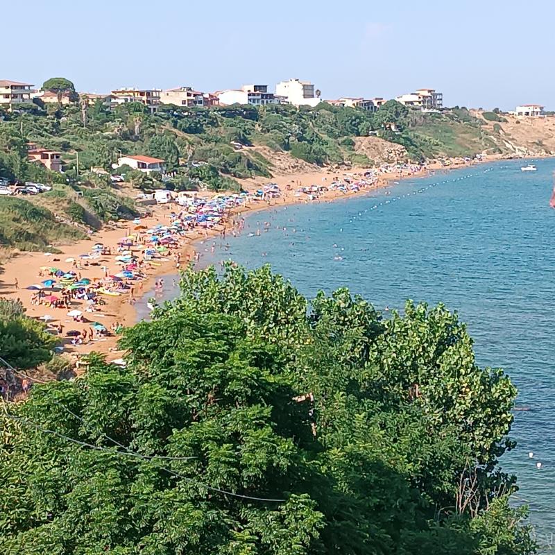 Le cannella