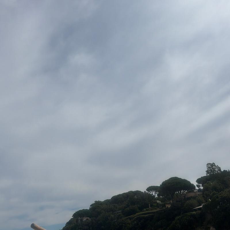 Fotosegnalazione di Procchio