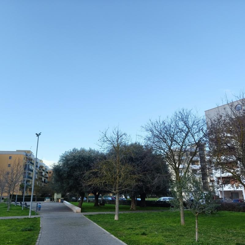 Fotosegnalazione di Gioia del colle
