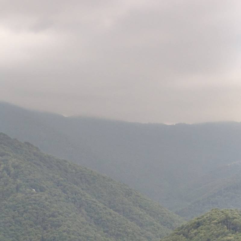 Fotosegnalazione di Pamparato