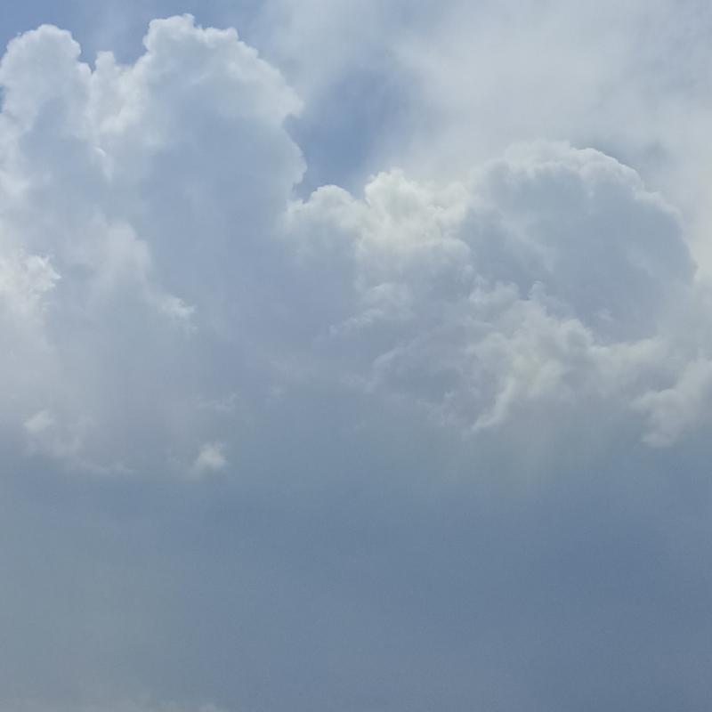 Fotosegnalazione di Ancona tavernelle
