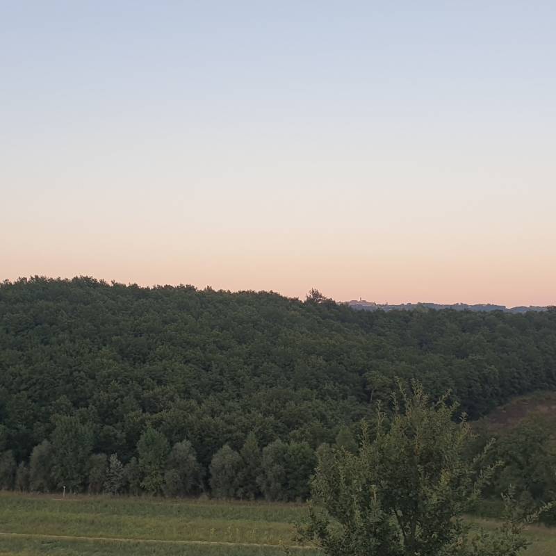 Fotosegnalazione di Cetona