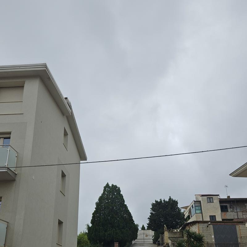 Fotosegnalazione di Sellia marina