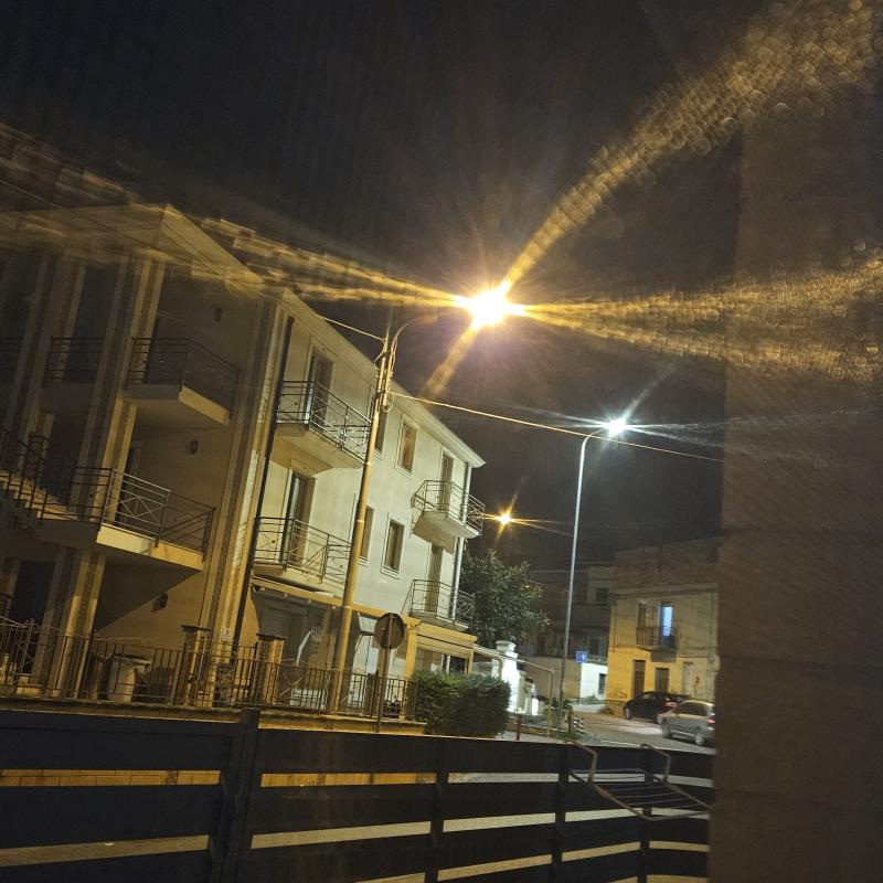 Fotosegnalazione di Sellia marina