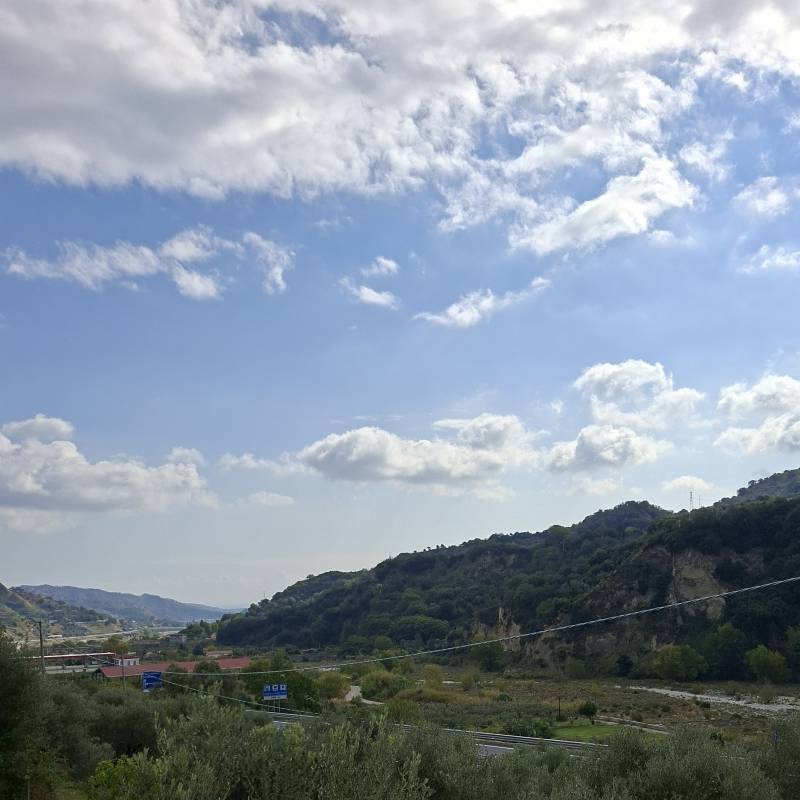 Fotosegnalazione di Mammola