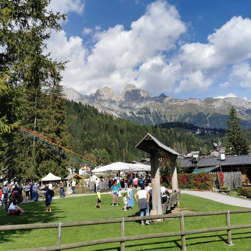 Fotosegnalazione di Falcade