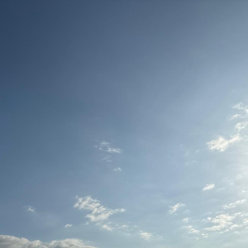 Fotosegnalazione di Costa volpino