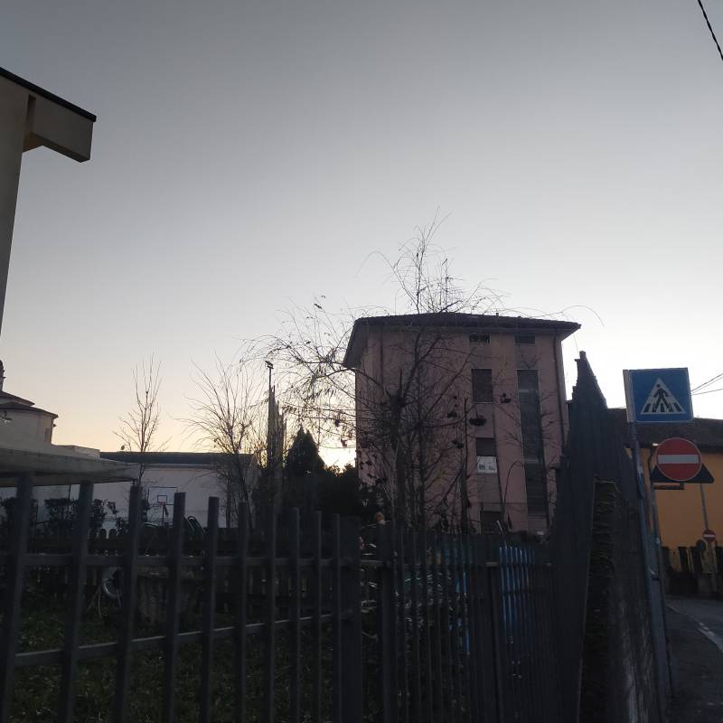 Fotosegnalazione di Albano sant'alessandro