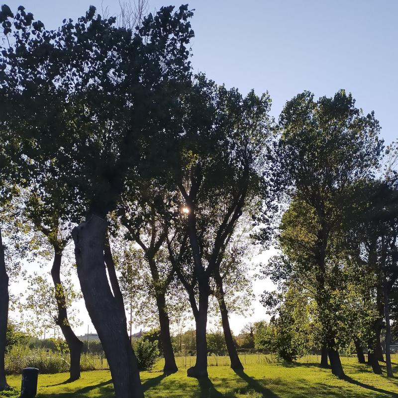 Ottima giornata
