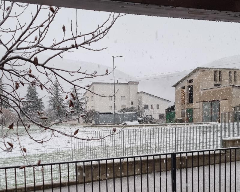 nevicata del 15 febbraio 25
