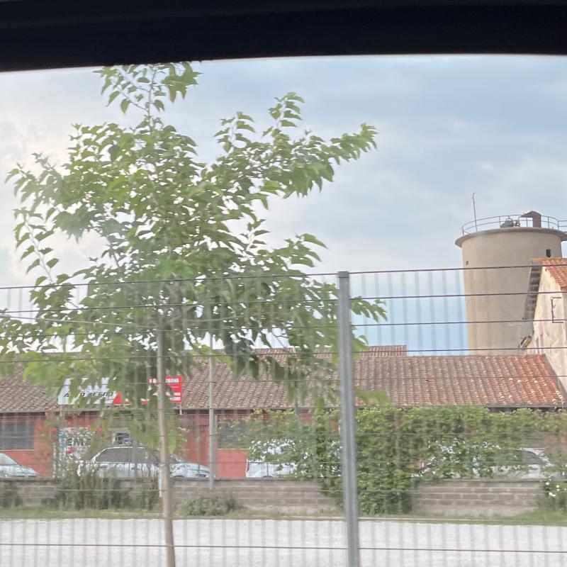 Nuvoloso