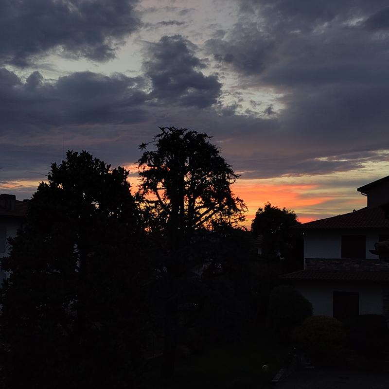 Alba