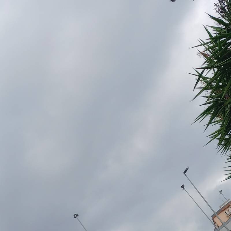 Fotosegnalazione di Canalicchio