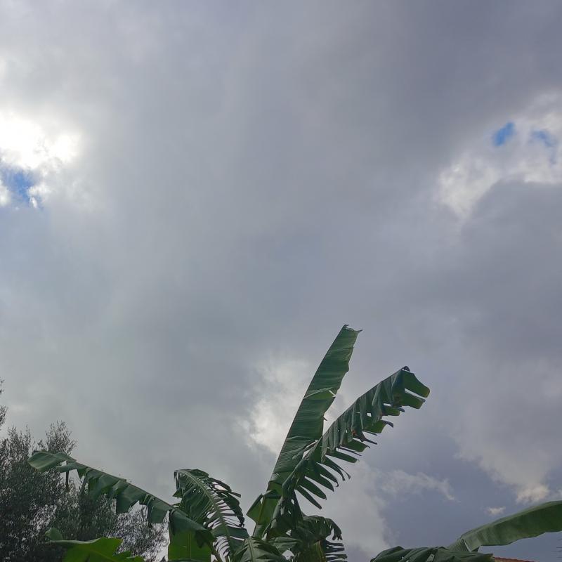 Meteo ognina-picanello