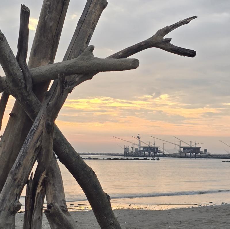 Fotosegnalazione di Porto garibaldi