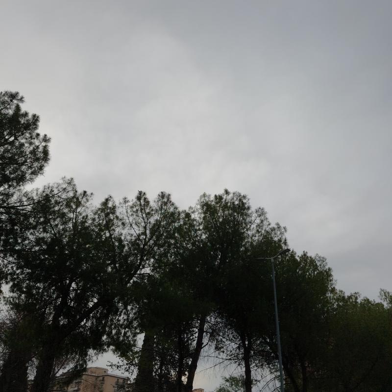 Fotosegnalazione di Foggia centro urbano